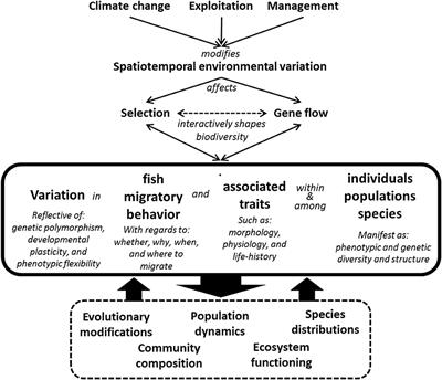 Ecological and Evolutionary Consequences of Environmental Change and Management Actions for Migrating Fish